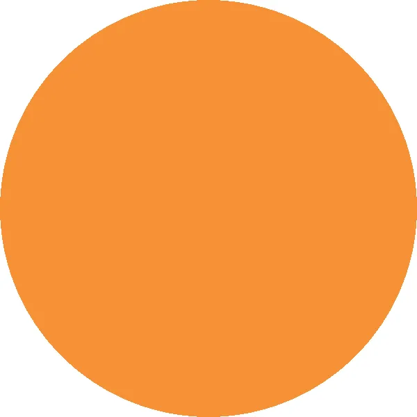 A single large orange circle on white
